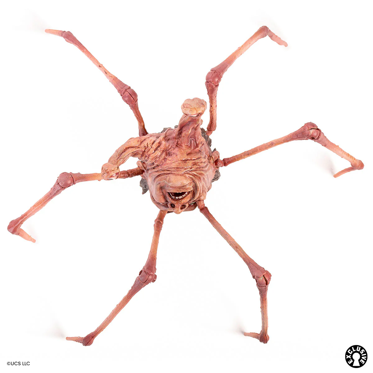 Product image 46